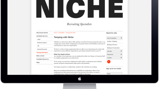 niche website design