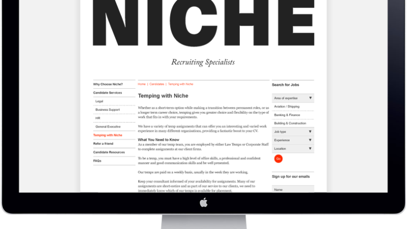 niche website design