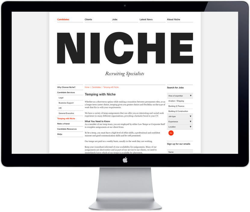 niche website design
